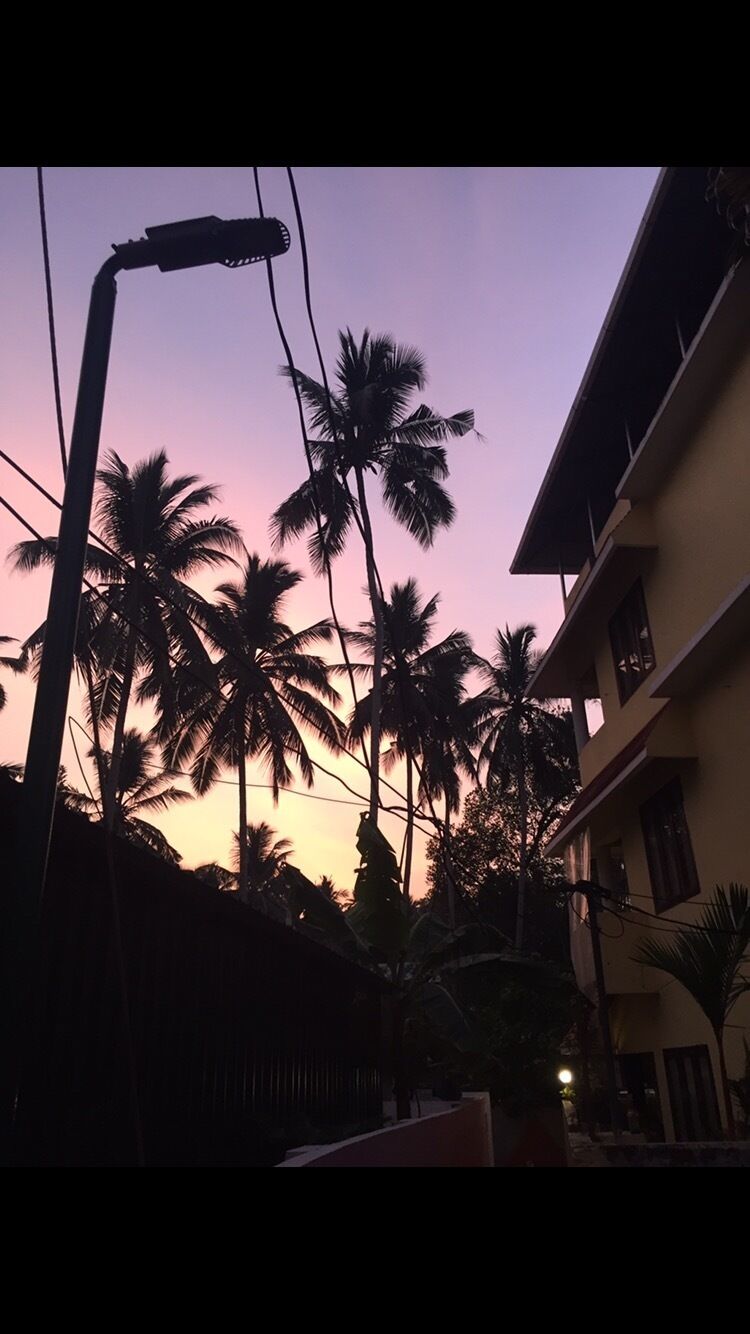 Un atardecer con palmeras siluetas contra un cielo rosado, una luz de calle y un edificio.