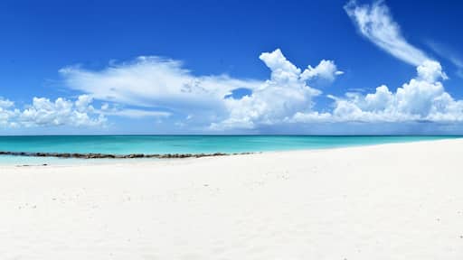Parrot Cay