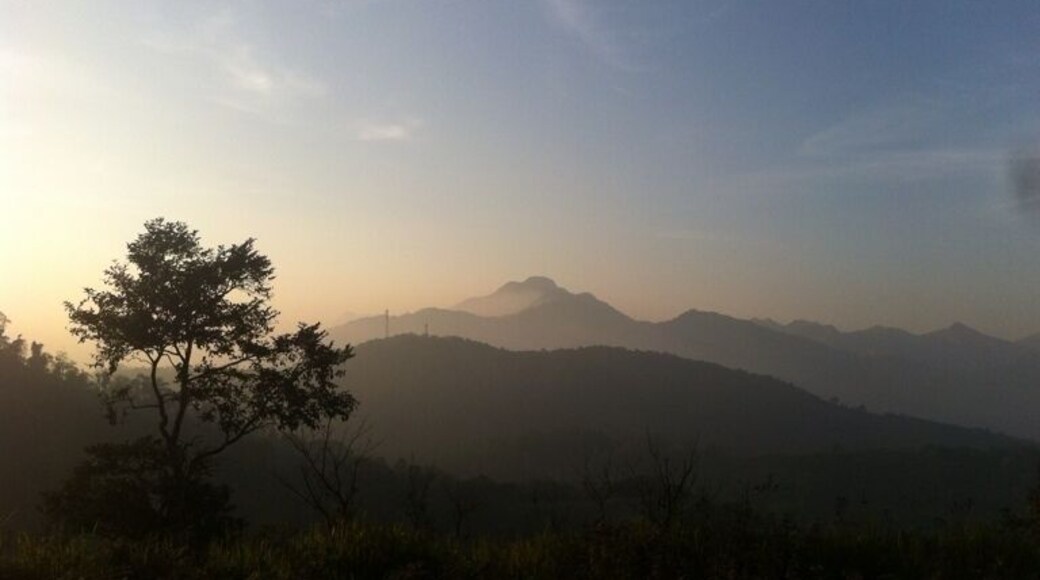 Hill top view. Priceless!