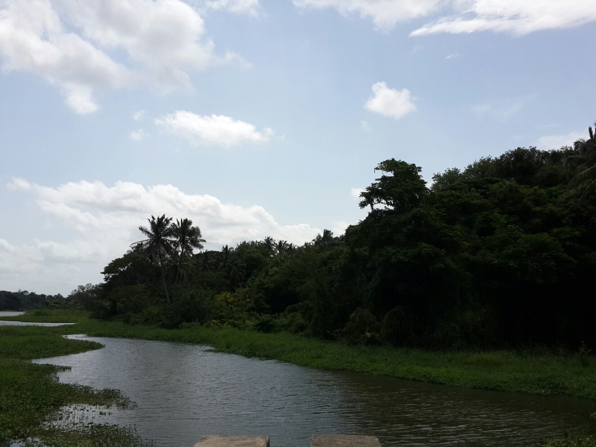 The ceaseless flow even when the sun prefers to say bye.