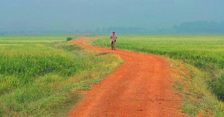 Remote yet so fresh...Embracing Kerala's greenery..