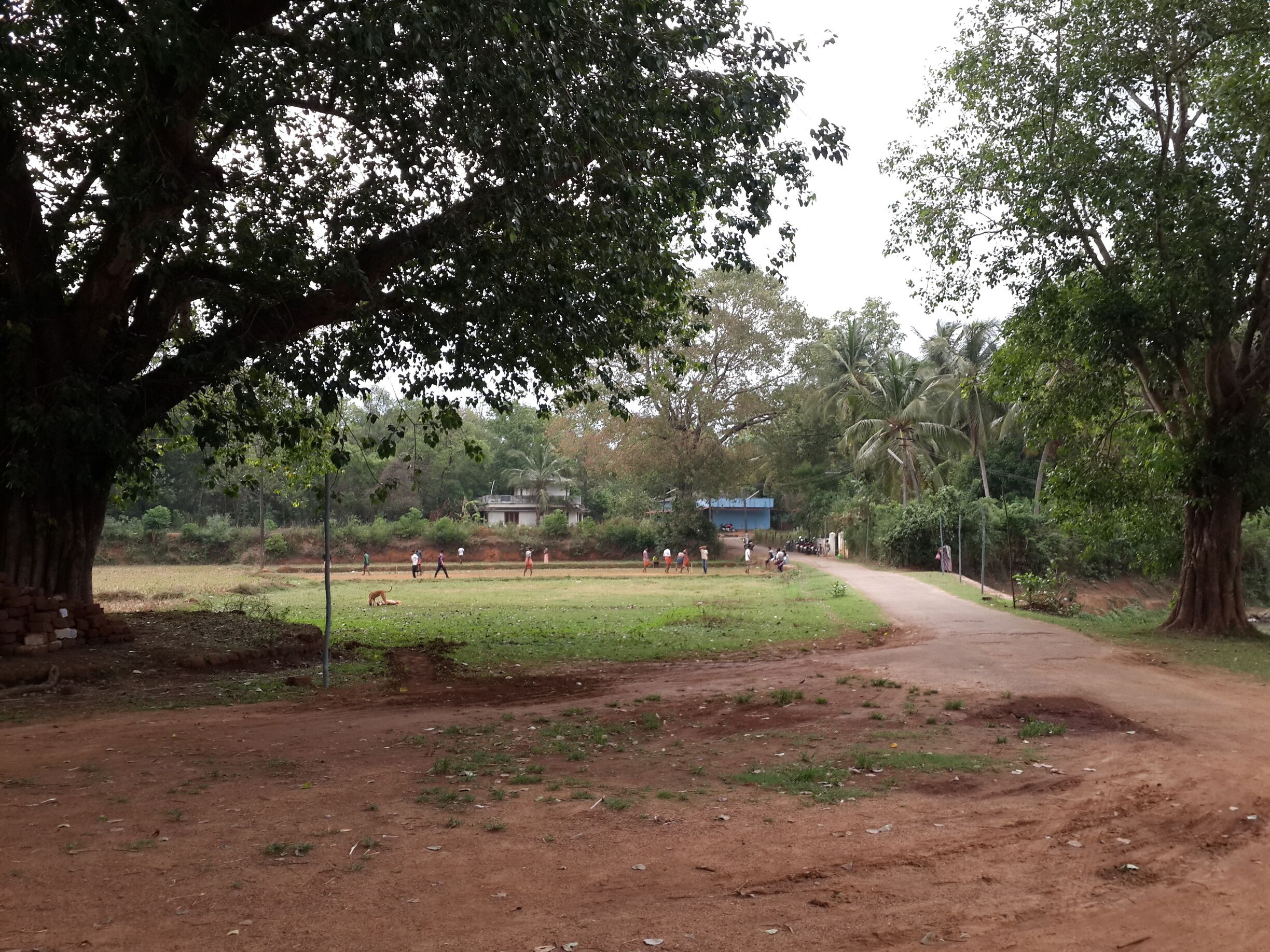 India 's national passion -Cricket - being played in a remote location.