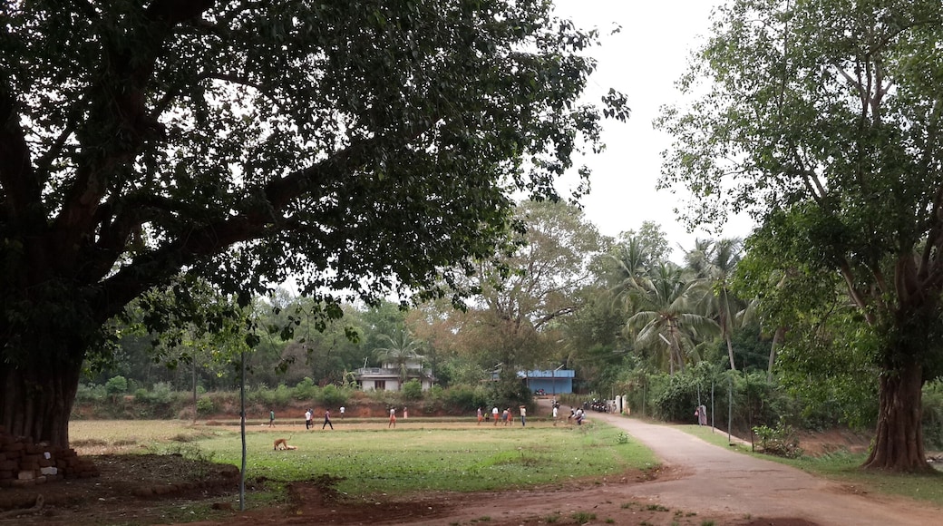 India 's national passion -Cricket - being played in a remote location.
