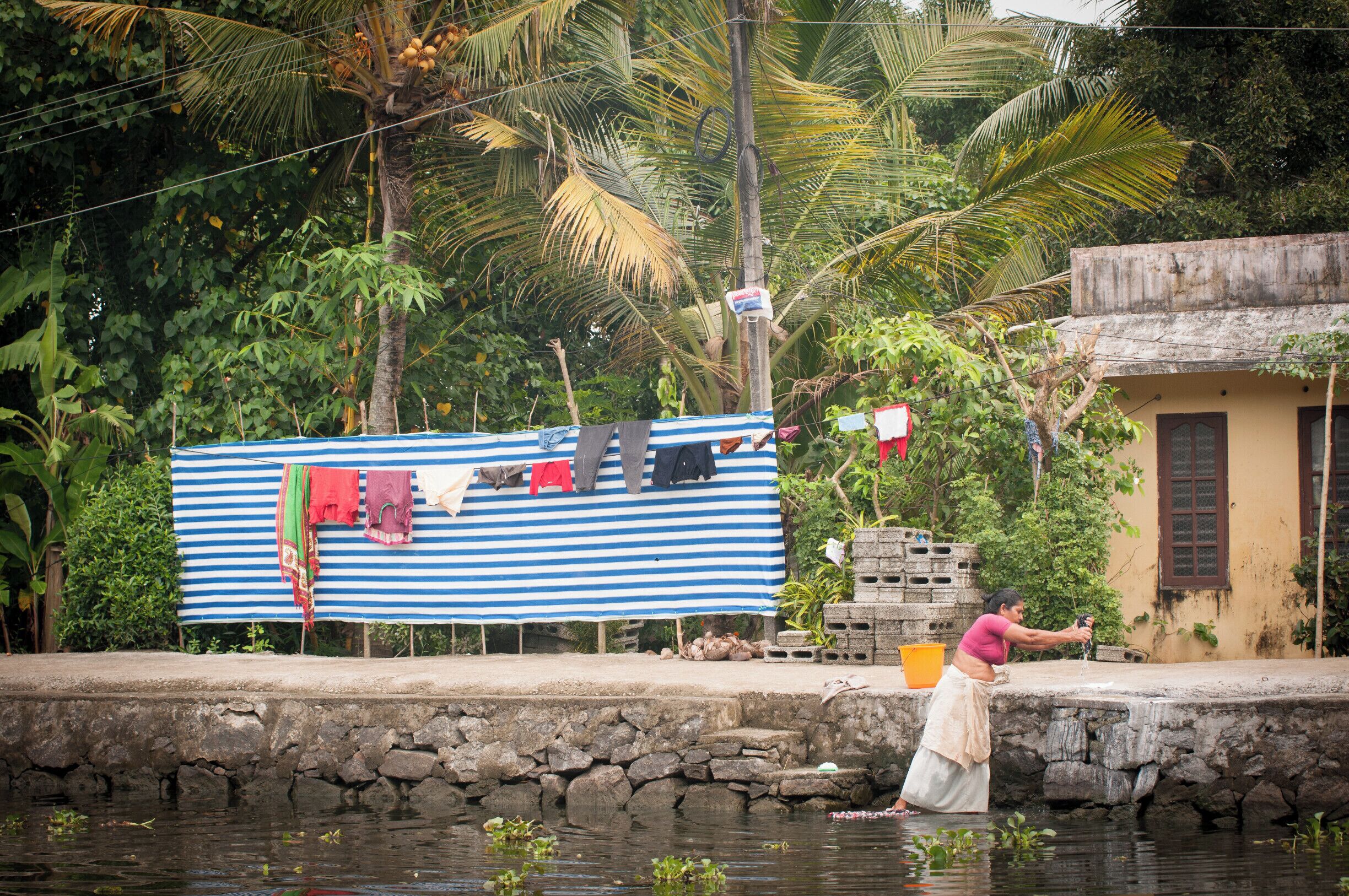 Interesting snapshots of the life in the backwaters during a morning kayaking session.
#waterlust #colorful