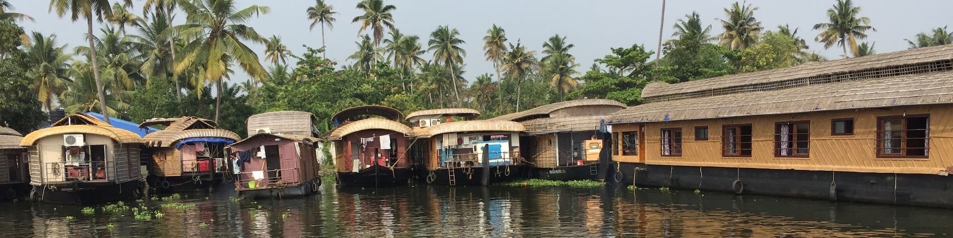 A row of traditional wooden houses on stilts along a calm river, surrounded by lush greenery and palm trees.