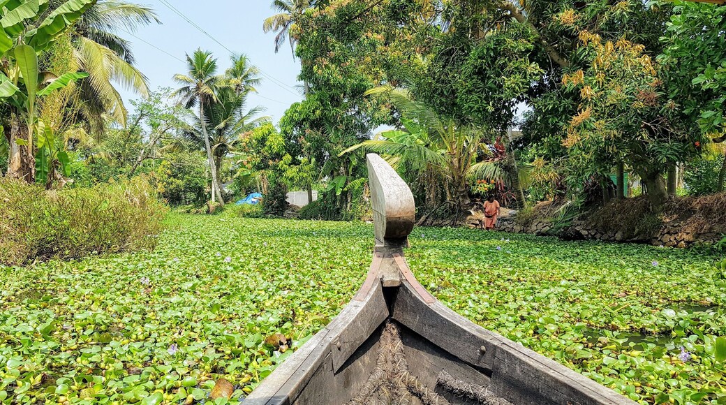 A canoe day trip on the Alleppey Backwaters is the perfect backpacker alternative to the more luxurious house boat trips available. A perfect day relaxing in the Venice of India seeing the local way of life and abundant nature.
#india
#southindia
#veniceofindia