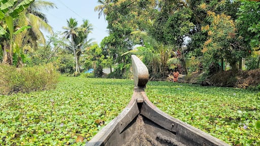 A canoe day trip on the Alleppey Backwaters is the perfect backpacker alternative to the more luxurious house boat trips available. A perfect day relaxing in the Venice of India seeing the local way of life and abundant nature.
#india
#southindia
#veniceofindia