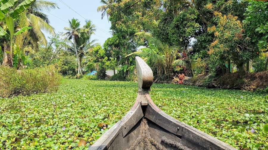 A canoe day trip on the Alleppey Backwaters is the perfect backpacker alternative to the more luxurious house boat trips available. A perfect day relaxing in the Venice of India seeing the local way of life and abundant nature.
#india
#southindia
#veniceofindia