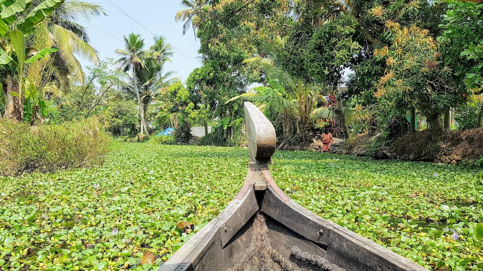 A canoe day trip on the Alleppey Backwaters is the perfect backpacker alternative to the more luxurious house boat trips available. A perfect day relaxing in the Venice of India seeing the local way of life and abundant nature.
#india
#southindia
#veniceofindia