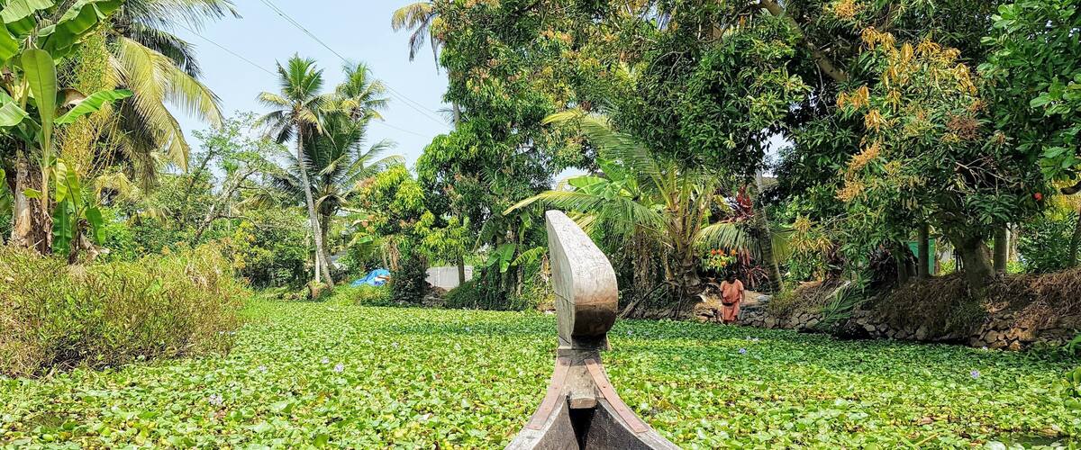 A boat on a lotus pond surrounded by tropical vegetation.