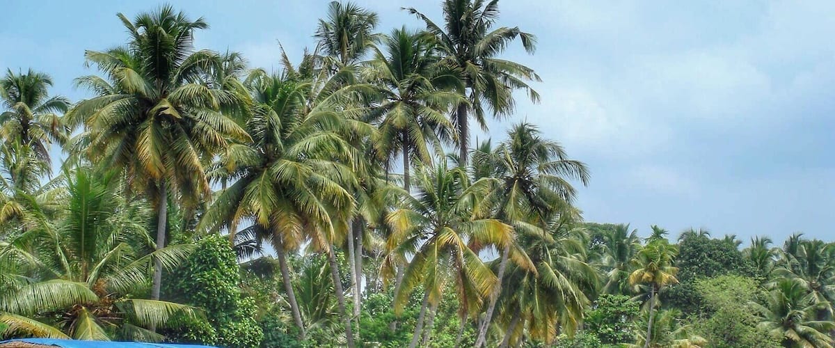 #Kerala #India