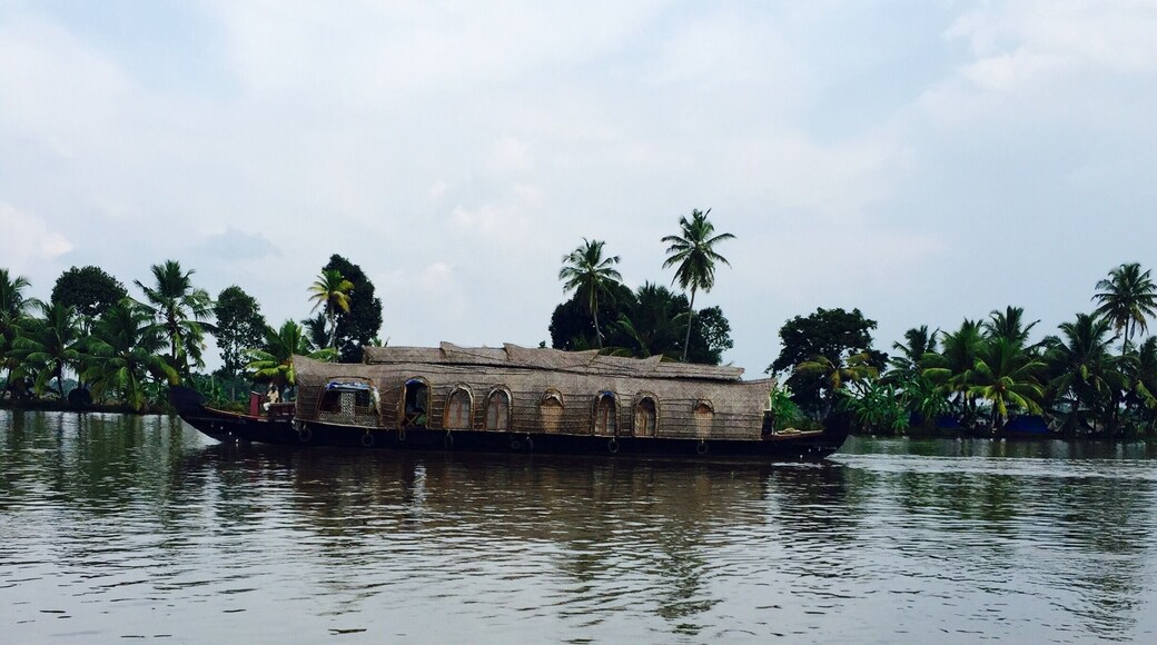 Houseboats in Alleppey Lake.