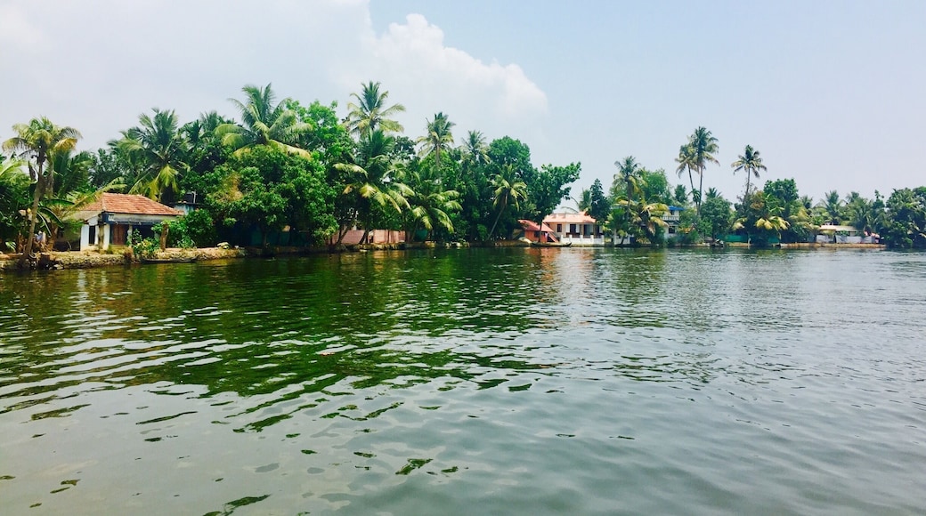 When in Kerela, a day in the backwaters of Alleppey is a must do. One can rent a house boat and can purchase fish (go for Karimeem) on the go, buy Tody and experience the way "Gods Own Country" is supposed to be experienced..!! #lifeatexpedia