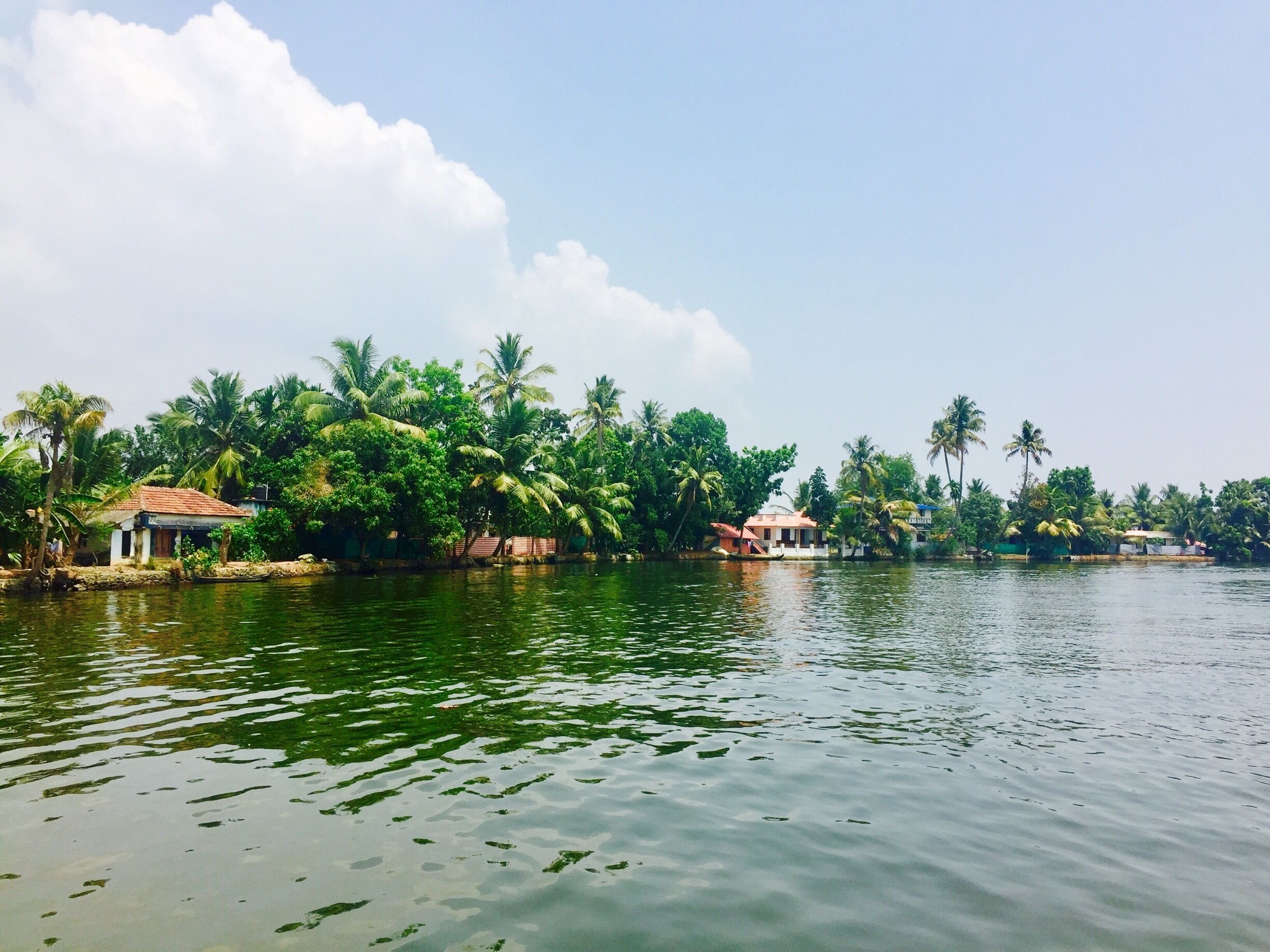 A calm lake with houses and palm trees along the shore.