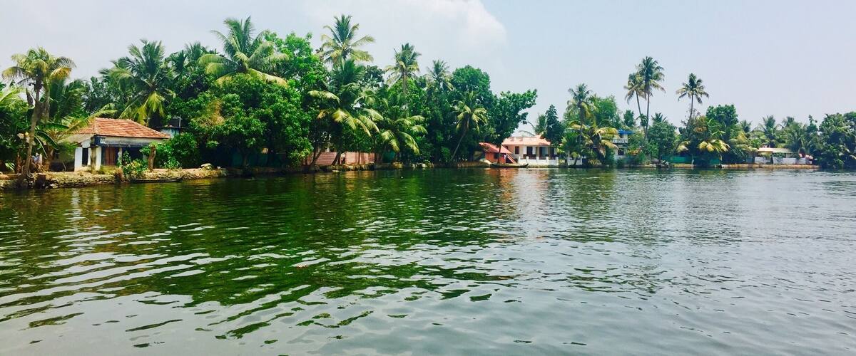 A calm lake with houses and palm trees along the shore.
