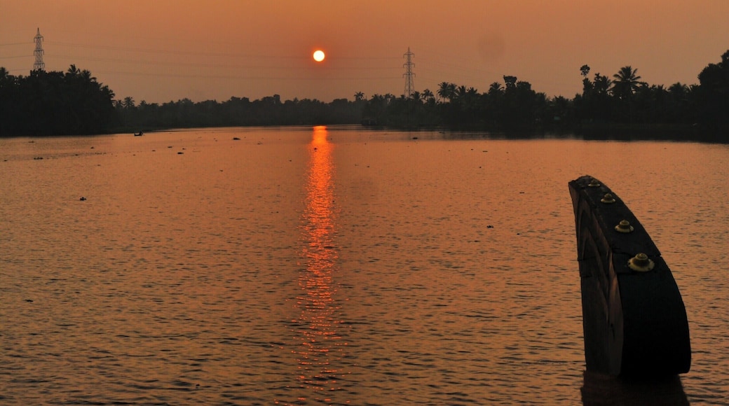 Cruising along on a traditional houseboat in the backwaters of Kerala and you will see local lake life on either side of you. Ducks and kingfishers are flying around you, laundry is a commonly seen chore, kids riding bicycles after school, and fisherman getting their catch of the day are just some examples. But one of the most beautiful moments you will capture is this golden sunset.