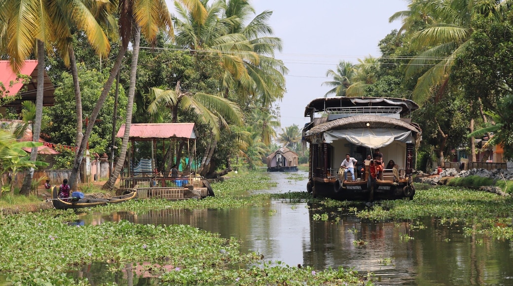Just cruising down the backwaters of Kerala on a private houseboat. Never in my life will I ever get over that day. Absolutely spectacular. I highly recommend the experience.