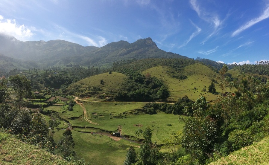 #India #Kerala God's own country #Peace #nofilter