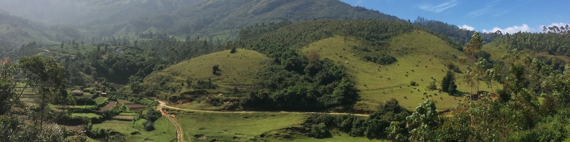 #India #Kerala God's own country #Peace #nofilter