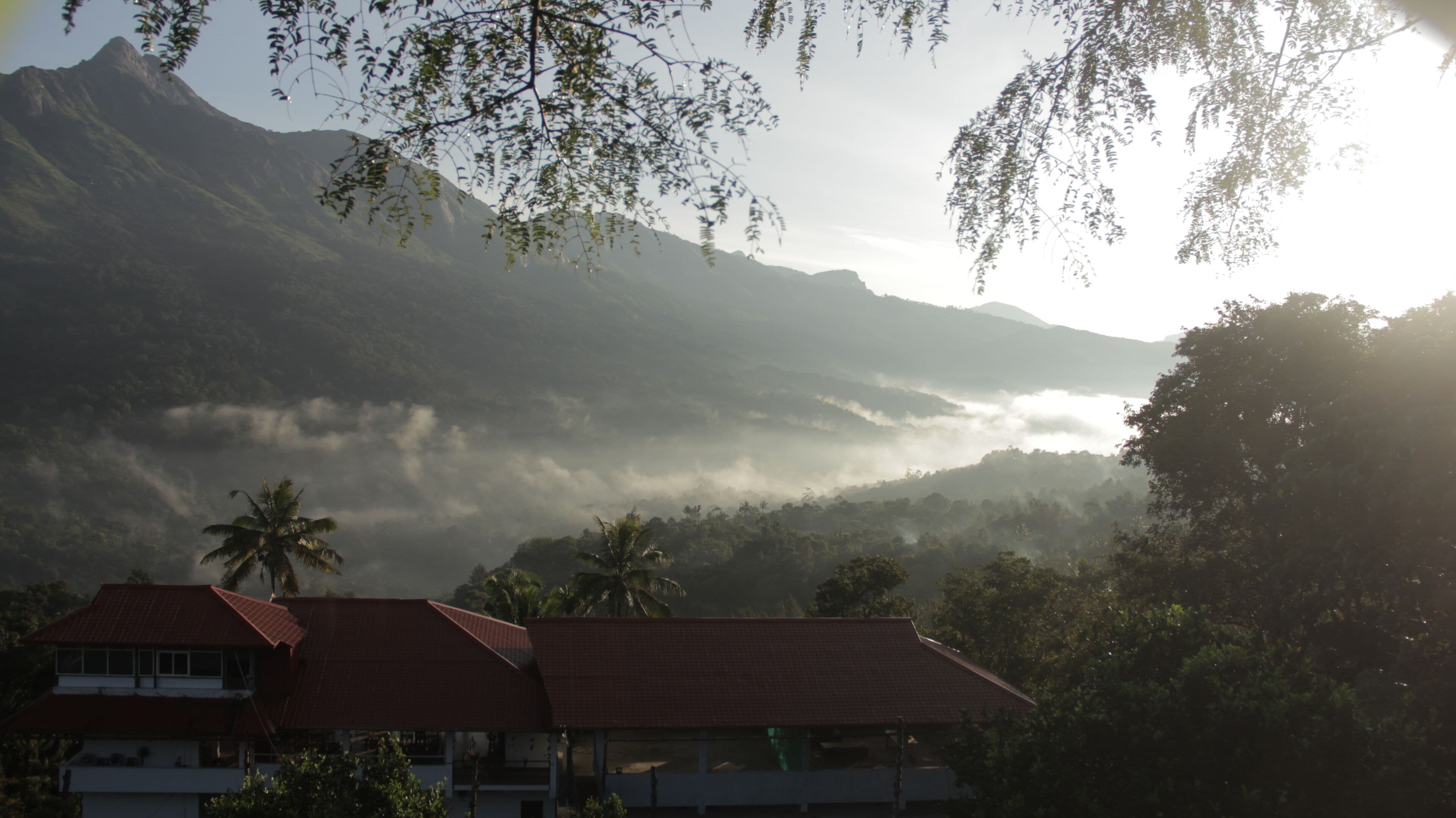 A mountainous landscape with a house and palm trees in the foreground.