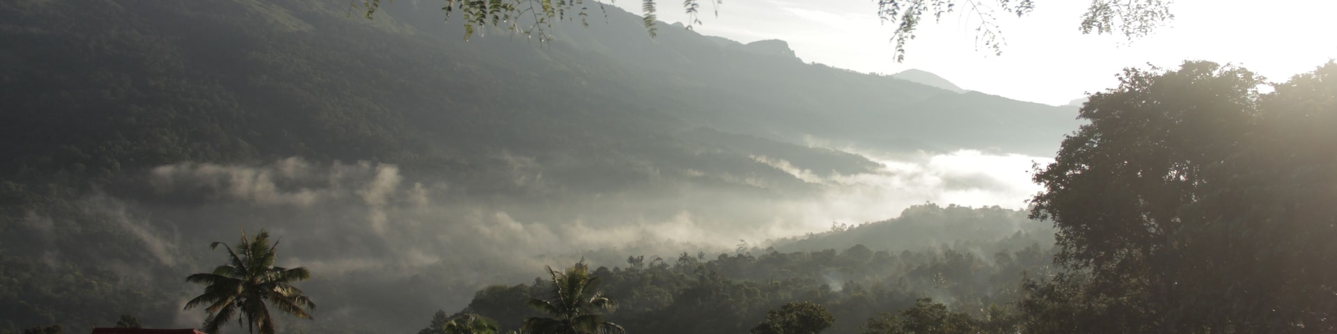 A mountainous landscape with a house and palm trees in the foreground.