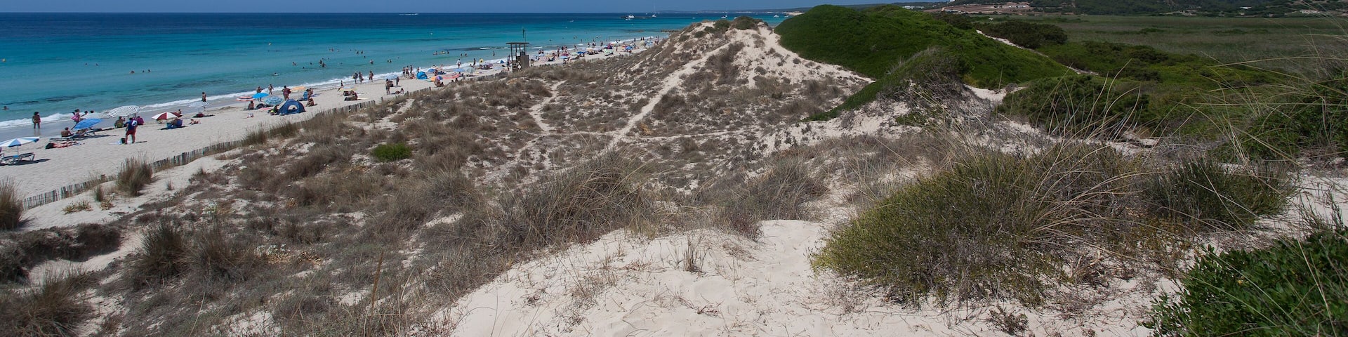 A beach with people, dunes, and a clear blue sky.