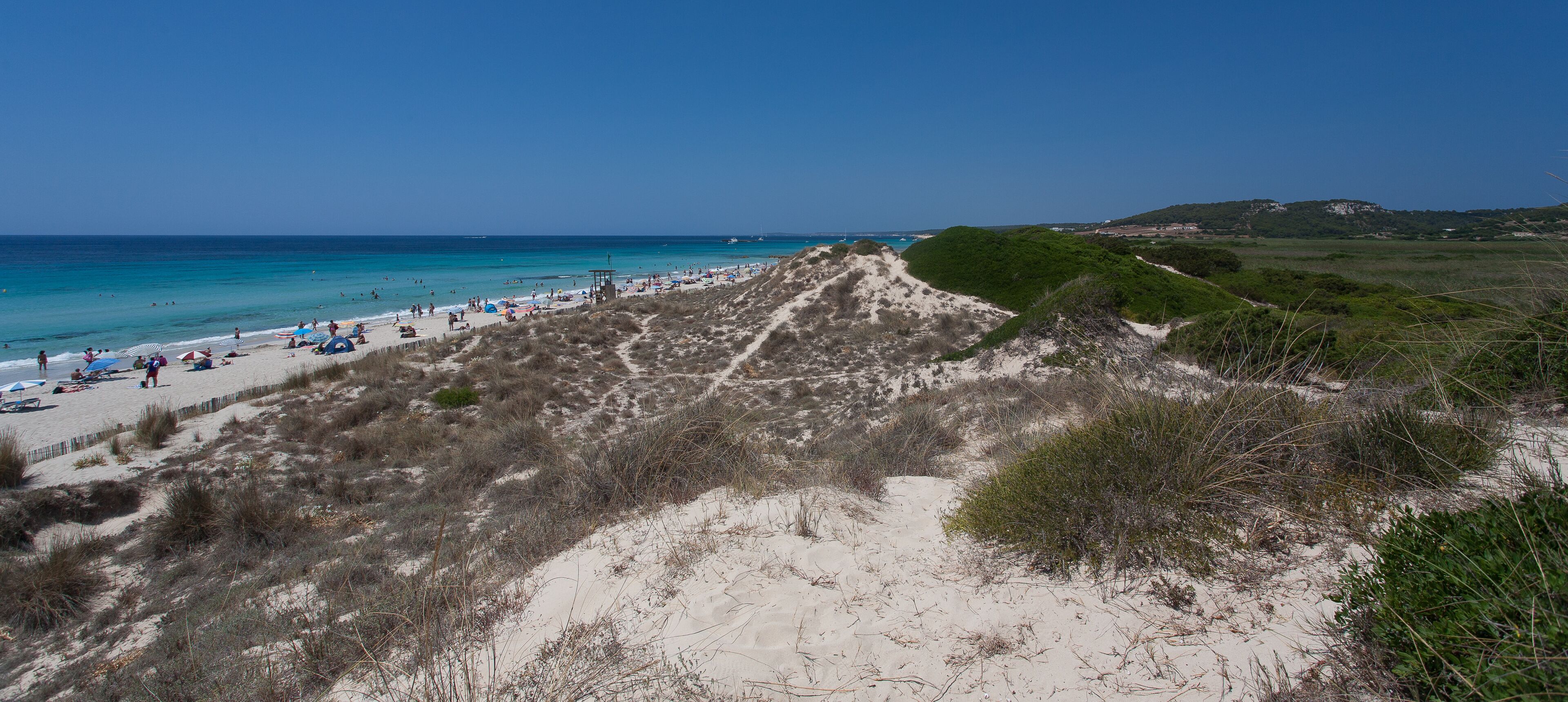 A beach with people, dunes, and a clear blue sky.