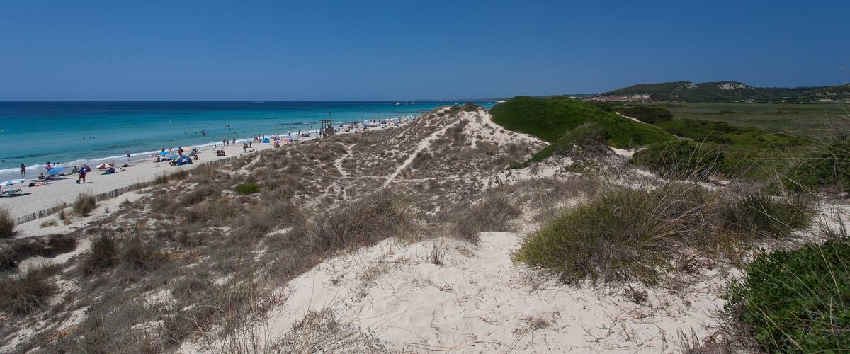 A beach with people, dunes, and a clear blue sky.