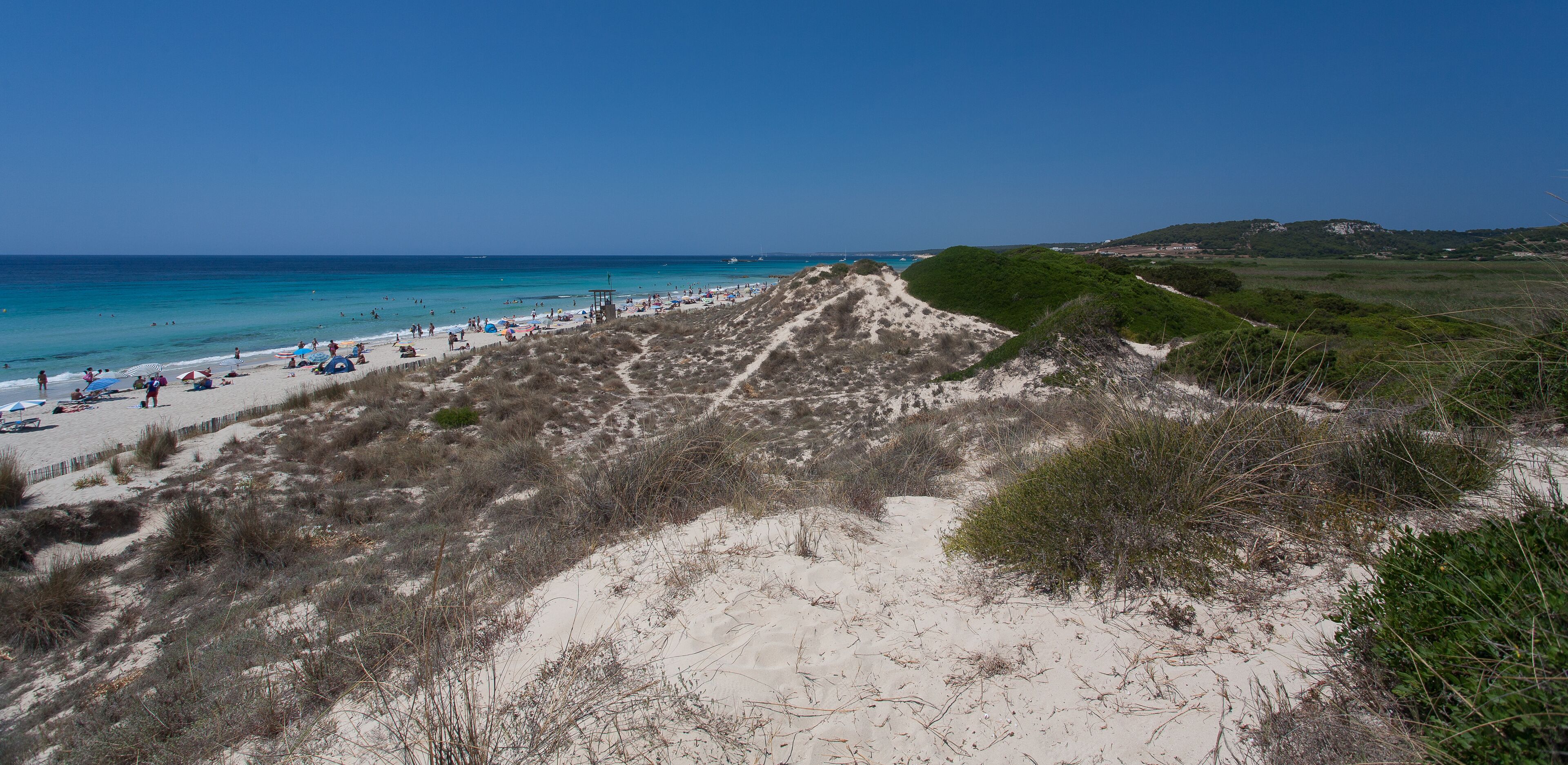 Panoramic view of Son Bou beach of white sand in Menorca, Balearic Islands, Spain