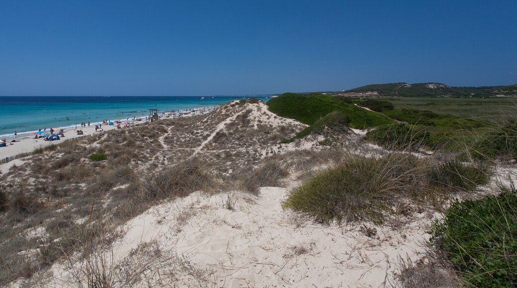Panoramic view of Son Bou beach of white sand in Menorca, Balearic Islands, Spain
