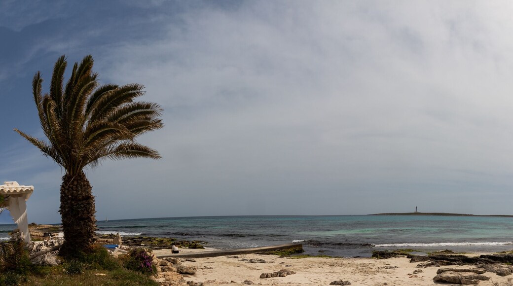 بونتا بريما