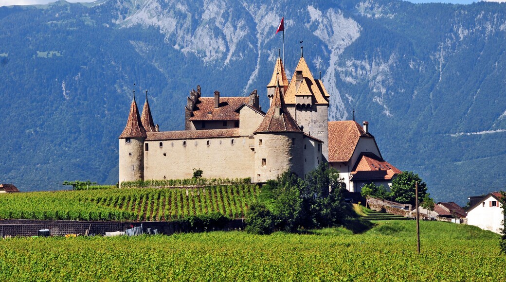 Il castello di Aigle, Cantone di Vaud - Svizzera