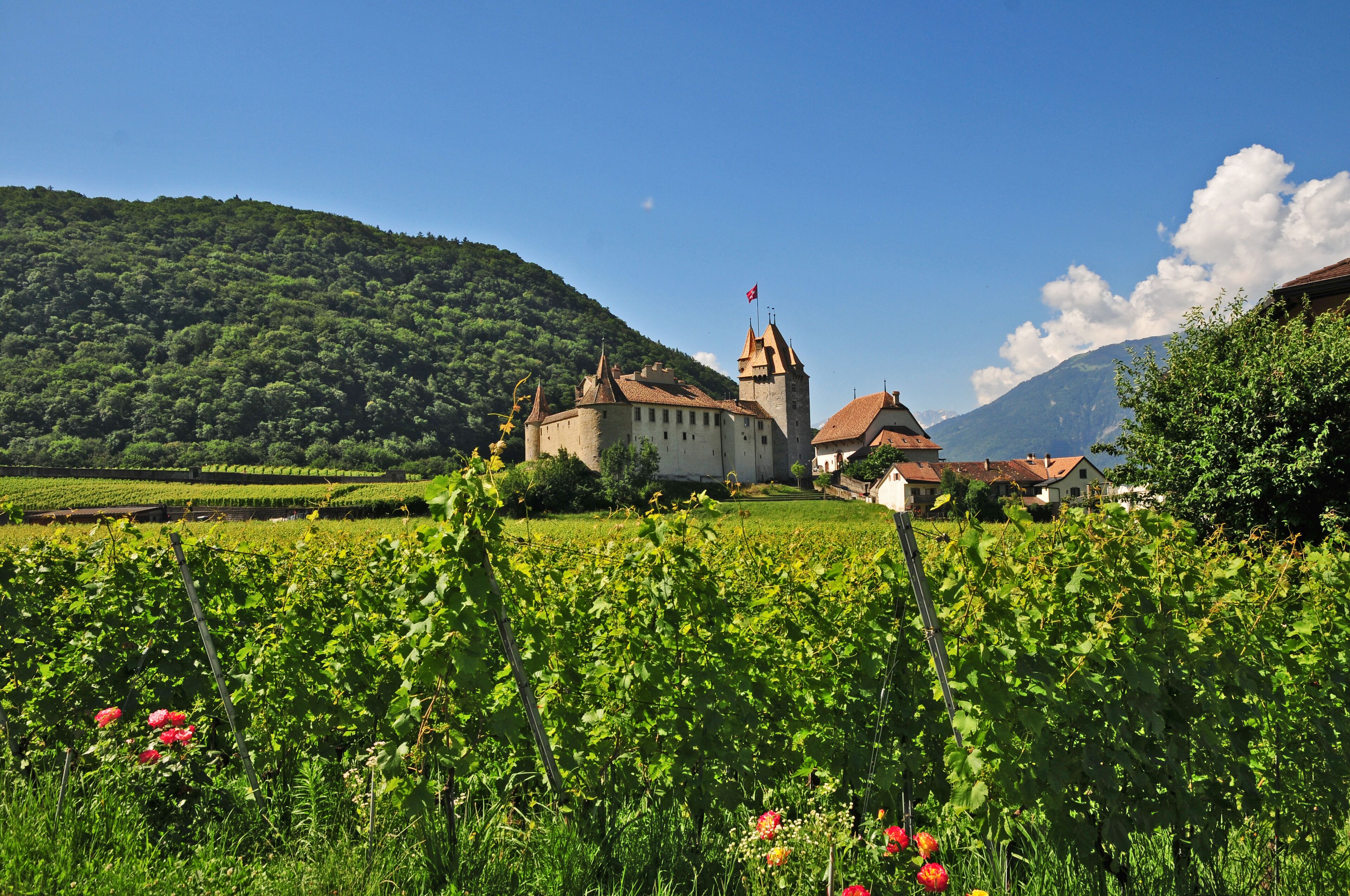 Il castello di Aigle, Cantone di Vaud - Svizzera