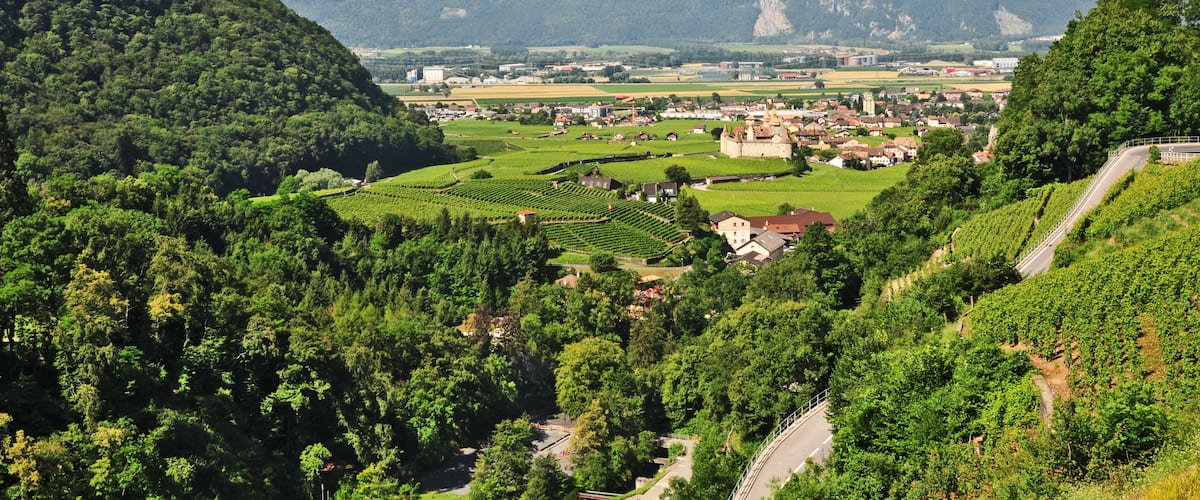 A mountainous landscape with vineyards, a town, and a castle.