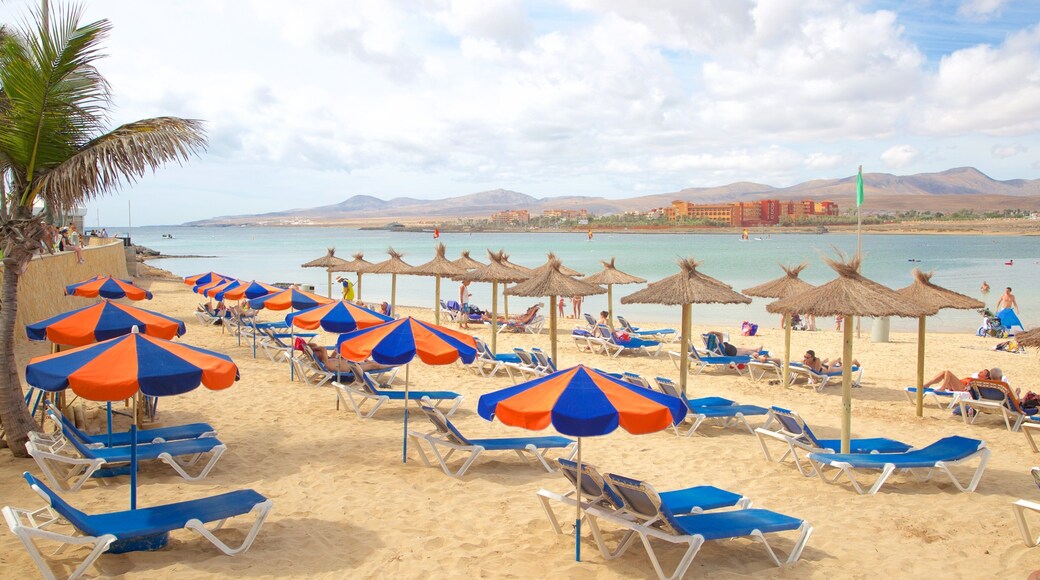 Caleta de Fuste som inkluderer kyst, luksushotell eller resort og sandstrand
