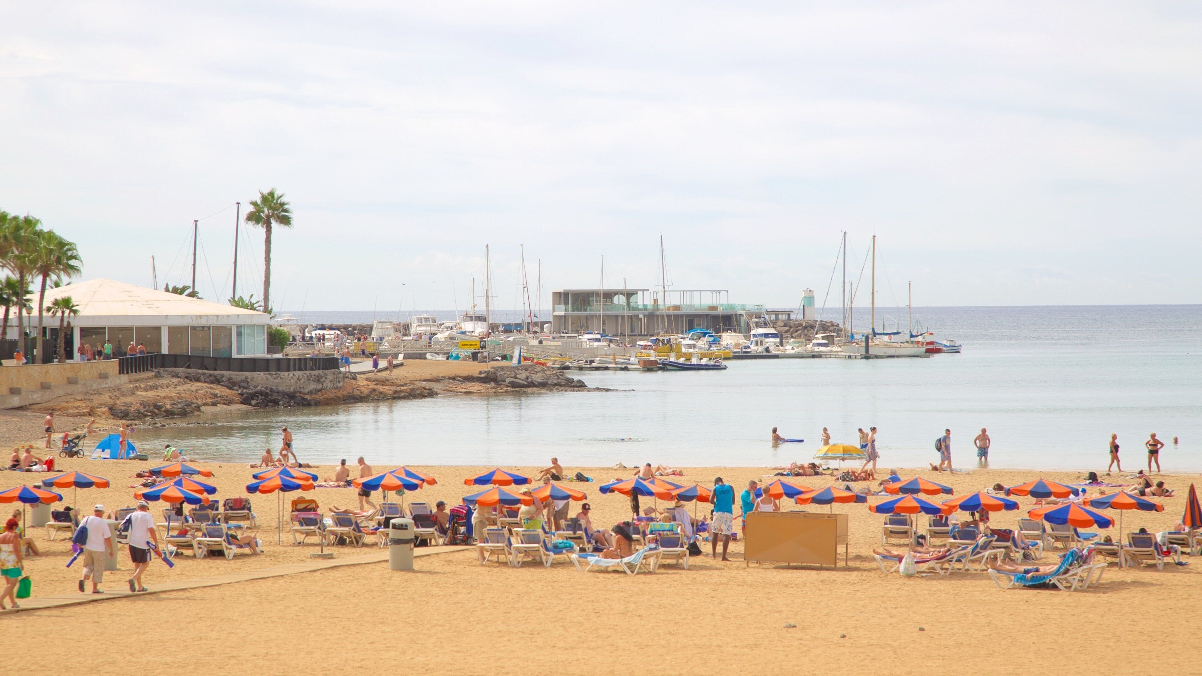 A beach with people sunbathing under umbrellas, a marina with boats, and a building with a sloped roof.