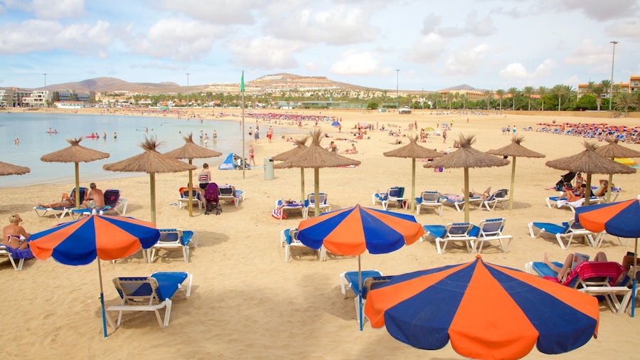 A beach with rows of sun loungers and umbrellas, a clear sky, and a distant mountain range.