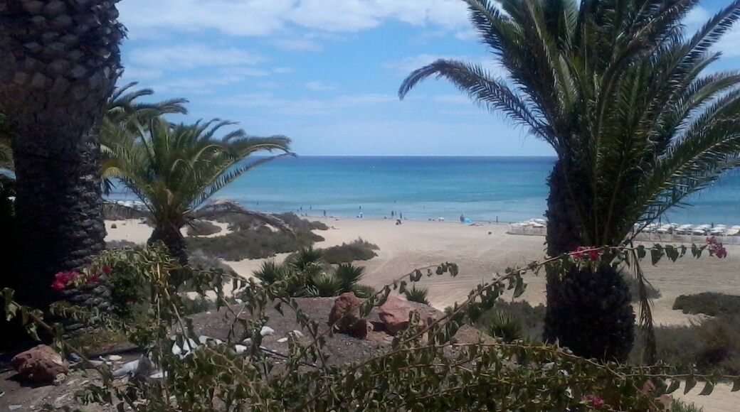 35627 Costa Calma, Las Palmas, Spain