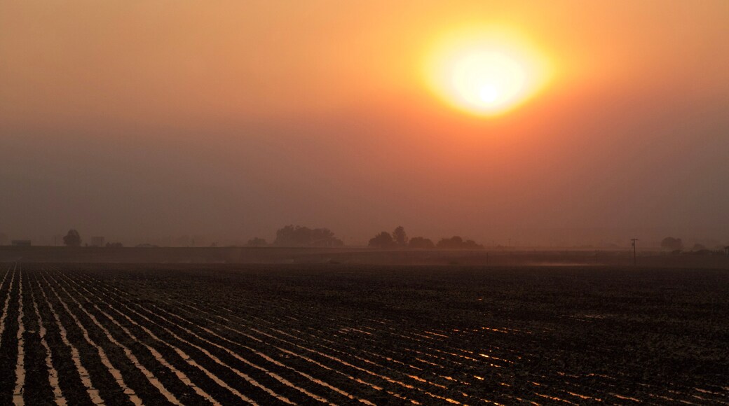 Smokey sunset over the field
