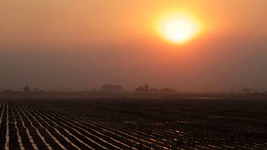 Smokey sunset over the field