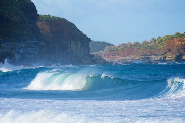 Avoca Beach showing a bay or harbour, waves and rugged coastline