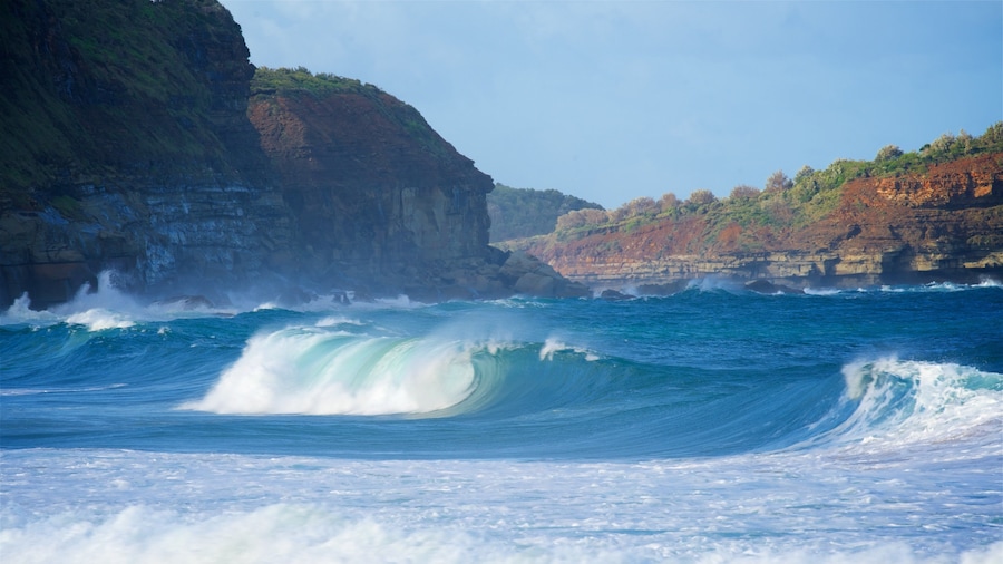 Avoca Beach featuring a bay or harbour, rugged coastline and waves