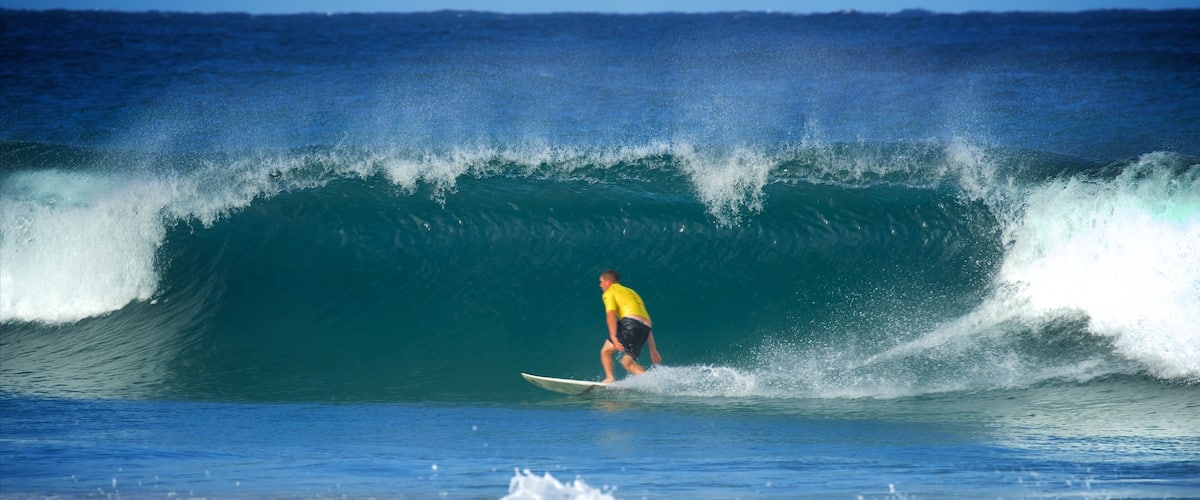 Avoca Beach which includes surfing, waves and a bay or harbor