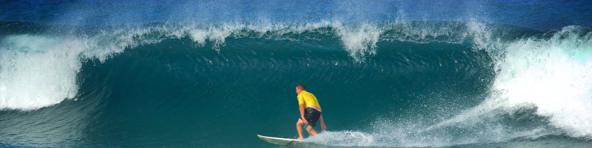 Avoca Beach featuring a bay or harbour, surfing and waves