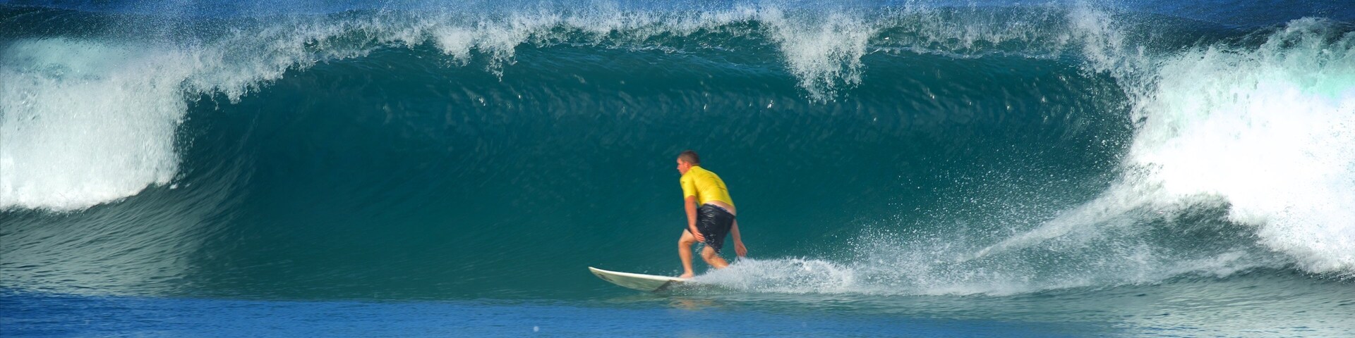 Avoca Beach which includes surfing, waves and a bay or harbor