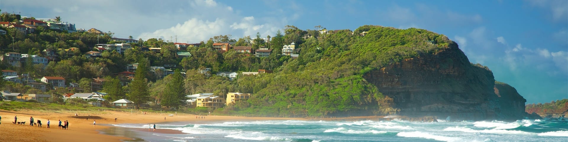 Avoca Beach showing waves, a bay or harbour and a beach