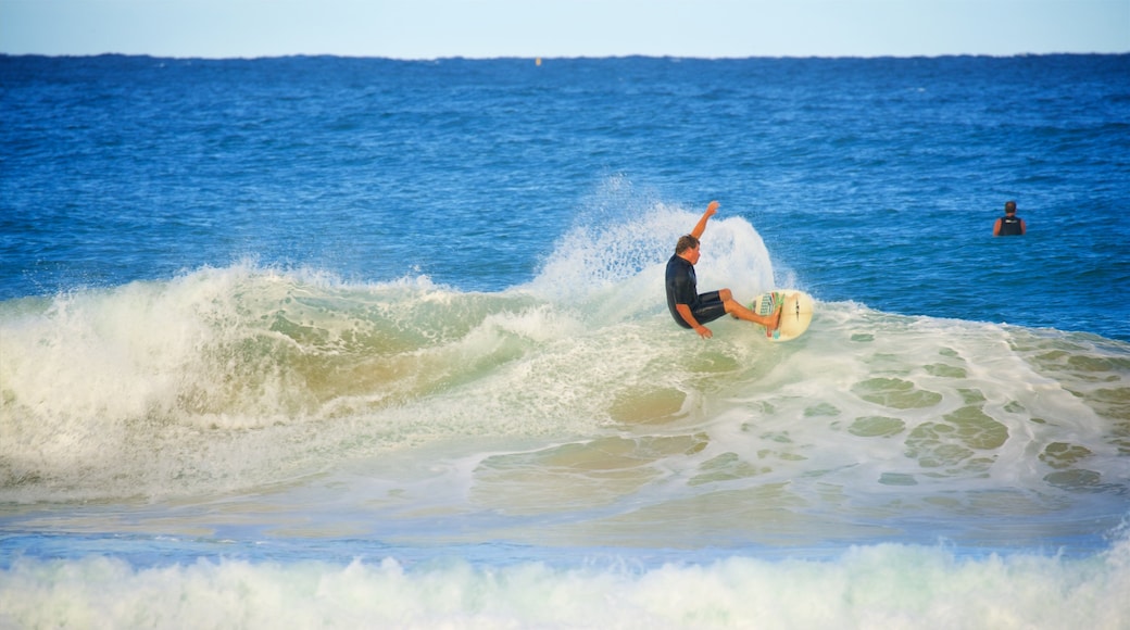Avoca Beach showing a bay or harbor, waves and surfing