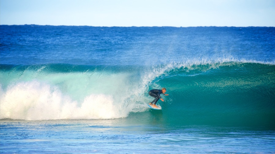 Avoca Beach which includes waves, surfing and a bay or harbor