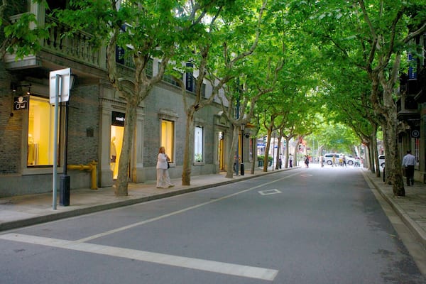 Une rue bordée d’arbres, avec des boutiques et des piétons.