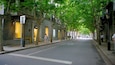 A tree-lined street with storefronts and pedestrians.